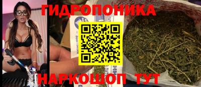 гашик Малоярославец