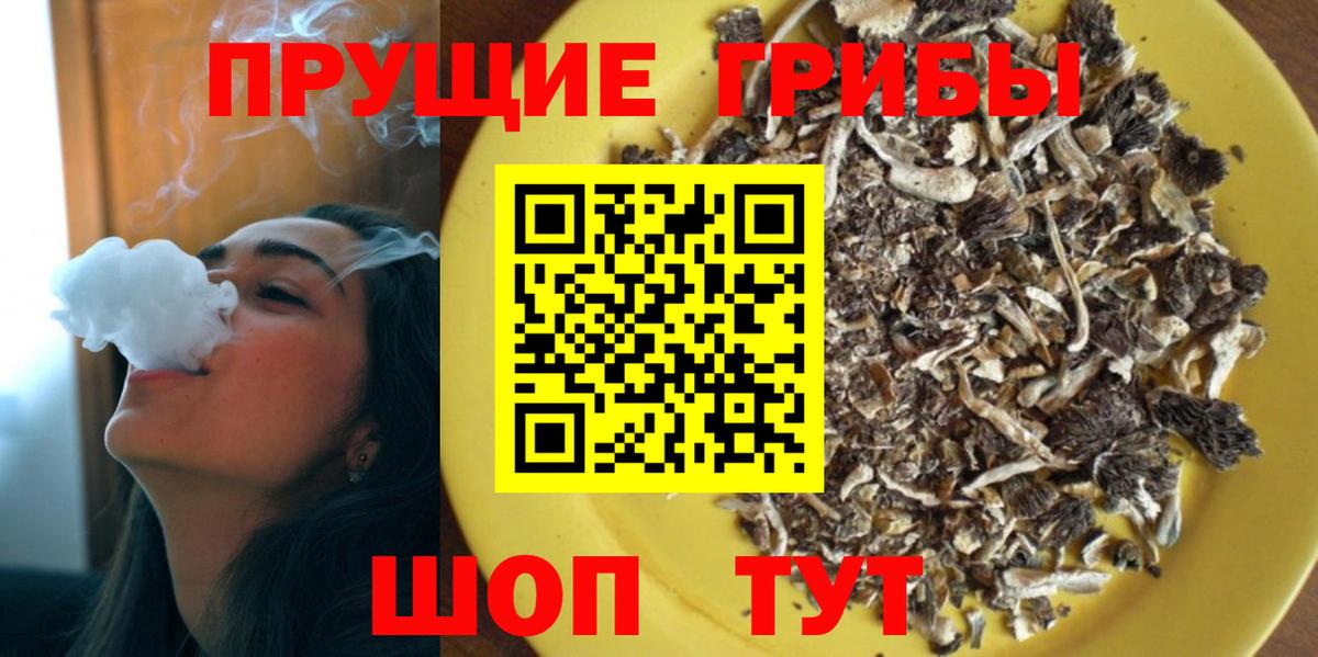 Гатчина  Псилоцибиновые грибы Cubensis  купить наркотики цена  Вход с VPN  Галлюциногенные грибы Psilocybe 
